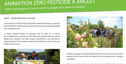 Animation Zéro Pesticide à Anglet