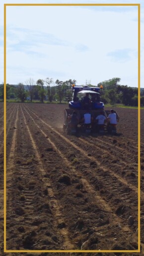 developpement-projet-territoriaux-territori